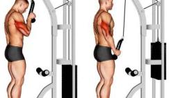 Corda de Triceps - Muito usado na pratica de musculação